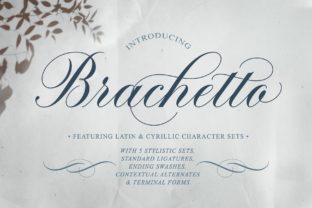 Brachetto: Where Classic Calligraphy Meets a Sensual, Modern Edge