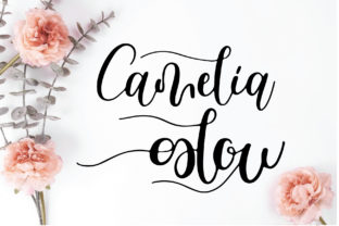Camelia Glow: A Living Script That Transforms Creative Workflows