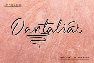 Dantalia: A Bold Script Font That Brings Handcrafted Charm to Every Project