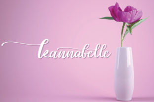 Kannabelle: A Romantic Script Full of Energy