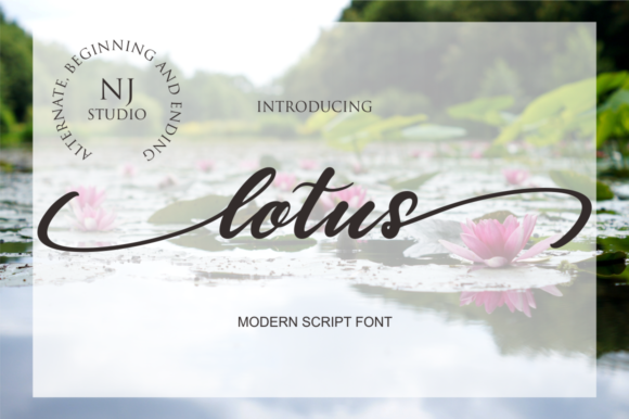 Lotus: A Modern Script Font with Playful Authenticity