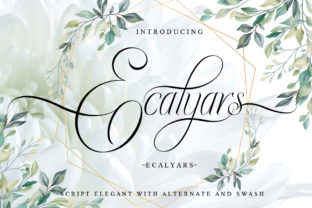What Makes Ecalyars the Script That Redefines Modern Elegance